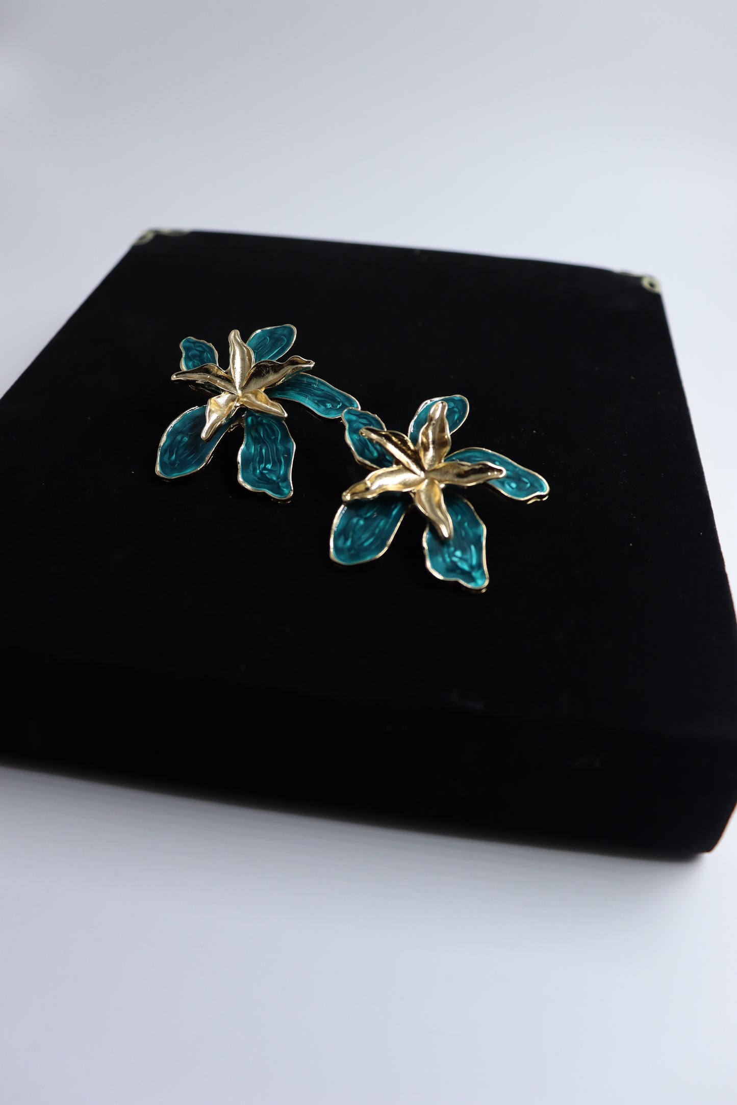 Anti -ternish earrings