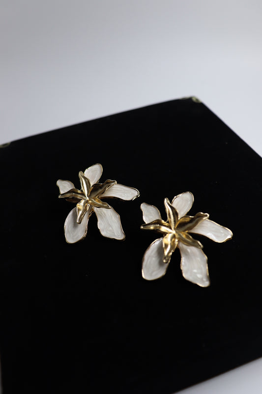 Anti -ternish earrings